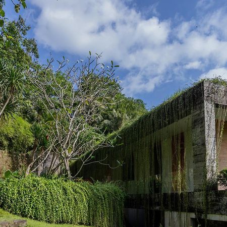 Chameleon Villa Bali Табанан Экстерьер фото